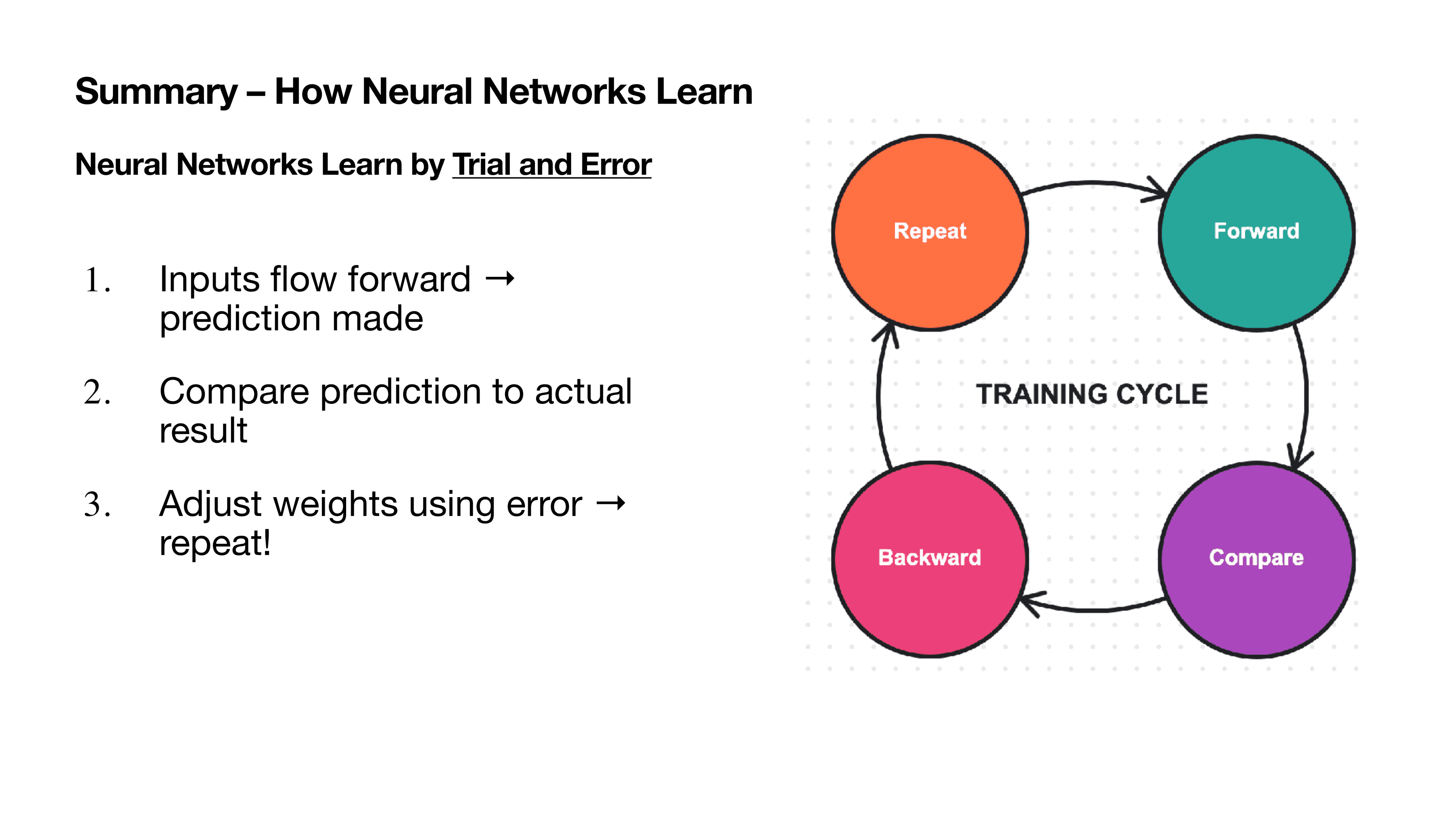 The training cycle: Forward, Compare, Backward, Repeat